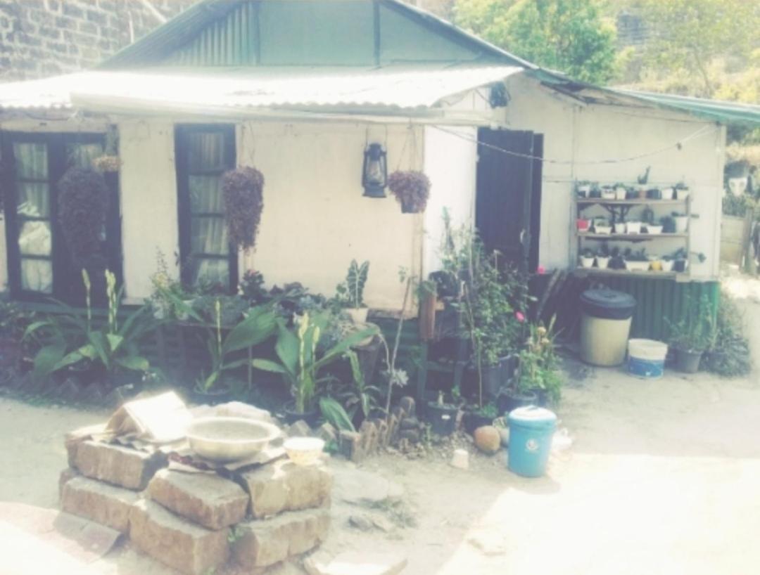 Giftland Homestay
