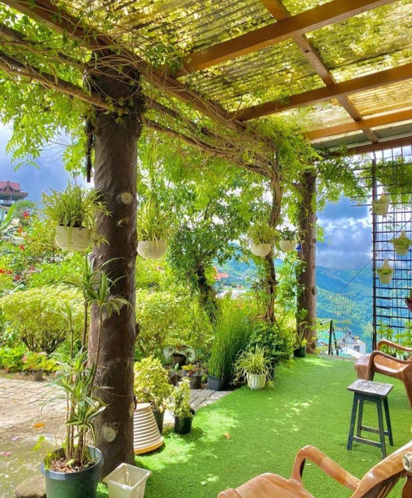 Homestay Giftland